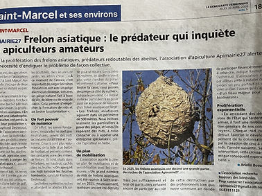 Nid-Frelon-GV1).jpeg