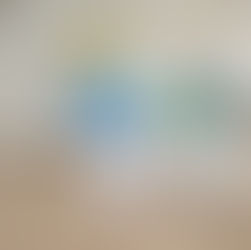 ブログを更新しました