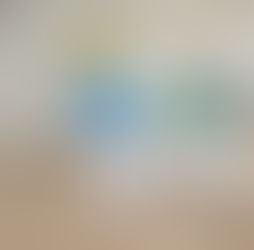 ブログを更新しました