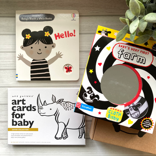 Newborn Storybox Gift Newborn Black and White Books Sensory Books for Babies