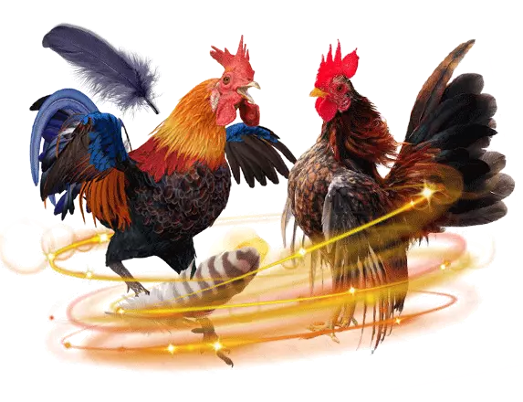 fc178 online sabong cockfight fc178 app download fc178.com download