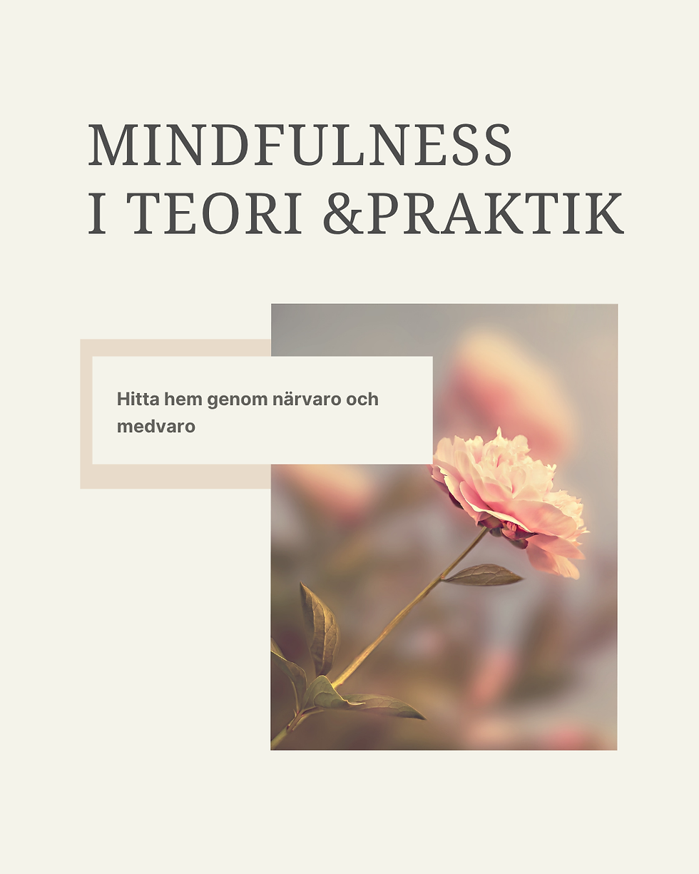 Mindfulness - teori och praktik  (1)