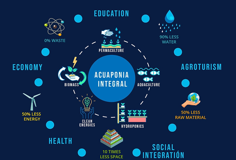 BROCHURE ENG CIA 2022_solucion_edited.jpg