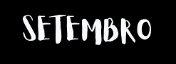 Cópia de Design sem nome (3).png