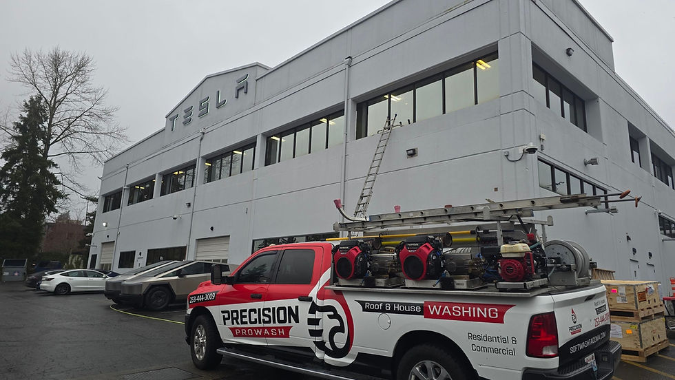 Tesla Dealership Bellevue Soft Wash Tacoma.jpg