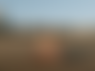 7 Ways to Honour Our Humanity