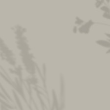 Design sans titre-2_edited.jpg