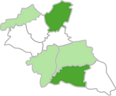 epirrhoe alternata.png