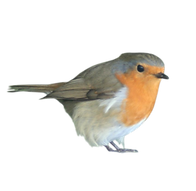 ZZZZZZZZ (11) (1)_edited.png