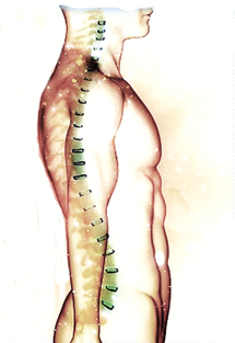 image11.gif