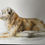 Thumbnail: ANIMAL PORTRAITS