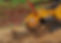 IMG_0264.jpeg