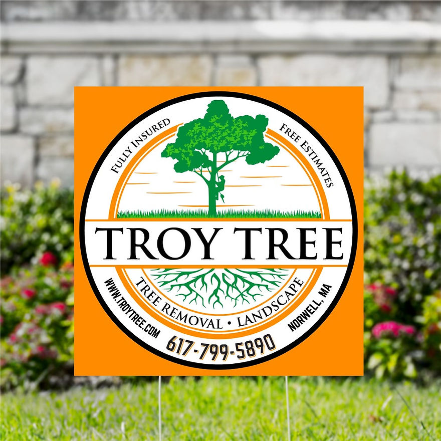 troy tree.jpg
