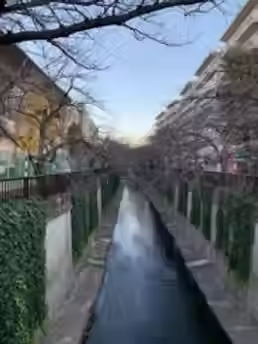 目黒川_冬.jpg.avif