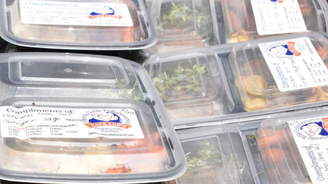 Dole & Bailey Donates Over $90,000 in Food to Family Table Collaborative, Supporting Meals Across Cape Cod 