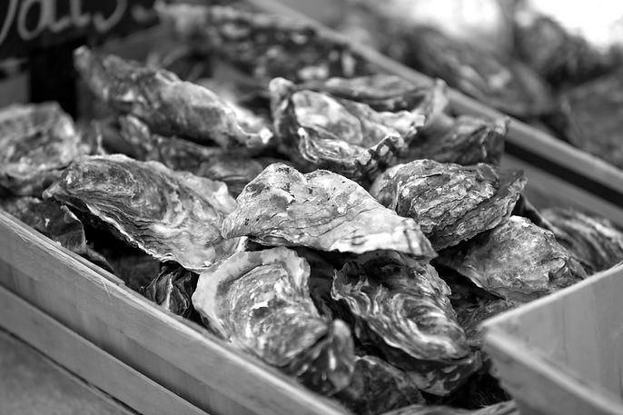 Pile of Oysters