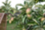 IMG_5884 (1).jpeg