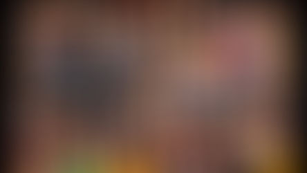 The significance of diversity and representation of Arab American voices and stories.