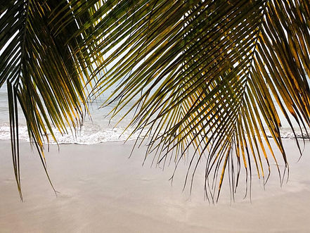 WhatsApp Image 2022-03-20 at 17.41.37.jpeg