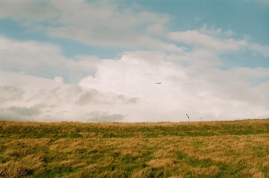 Images printed on sustainable, eco-friendly paper, thoughtful visuals with a low-impact footprint.