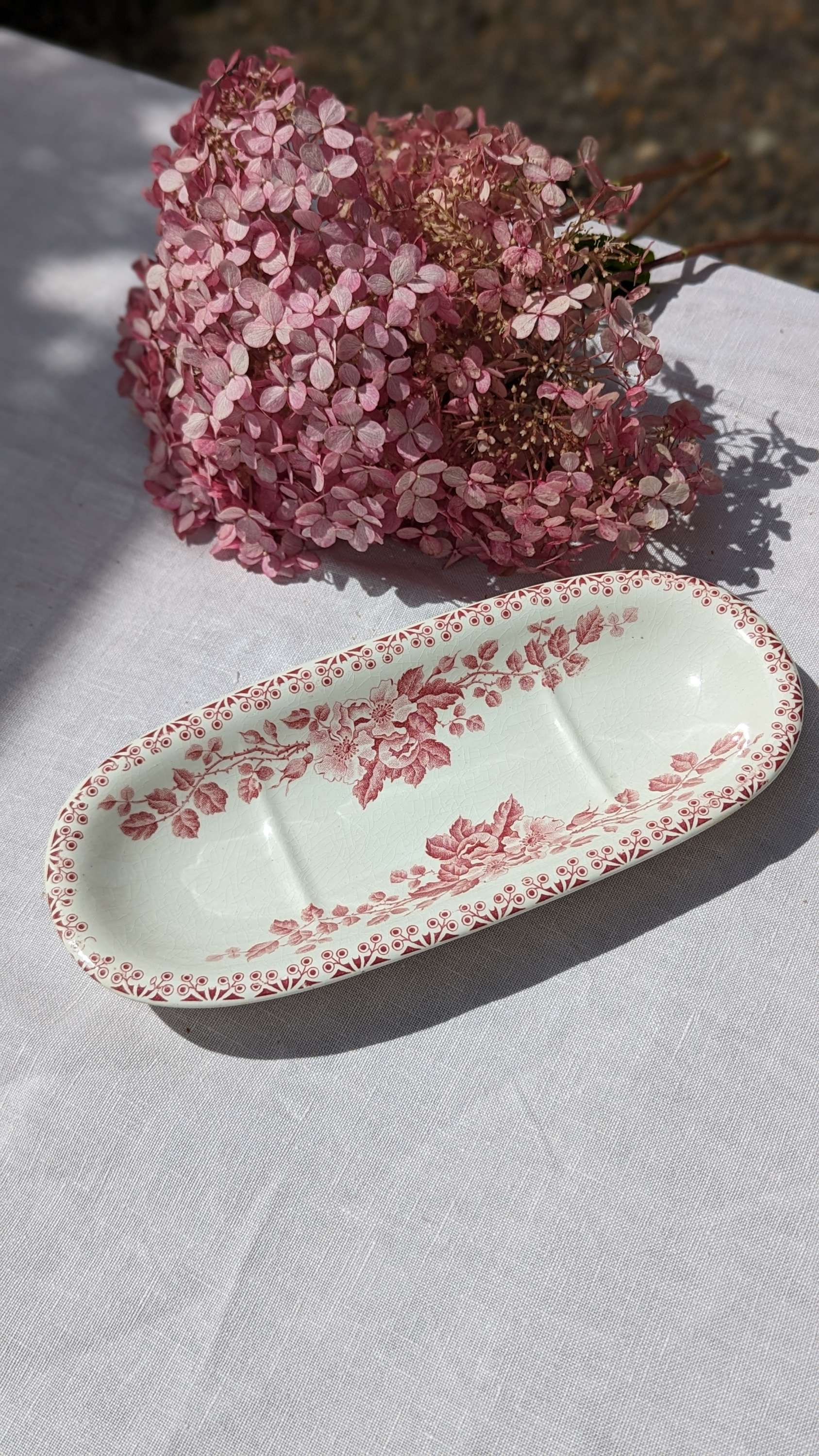 Ernest le porte peigne Debray