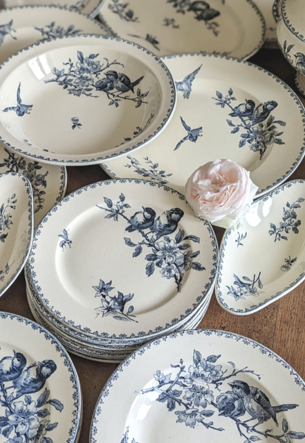 Julie les assiettes Favori