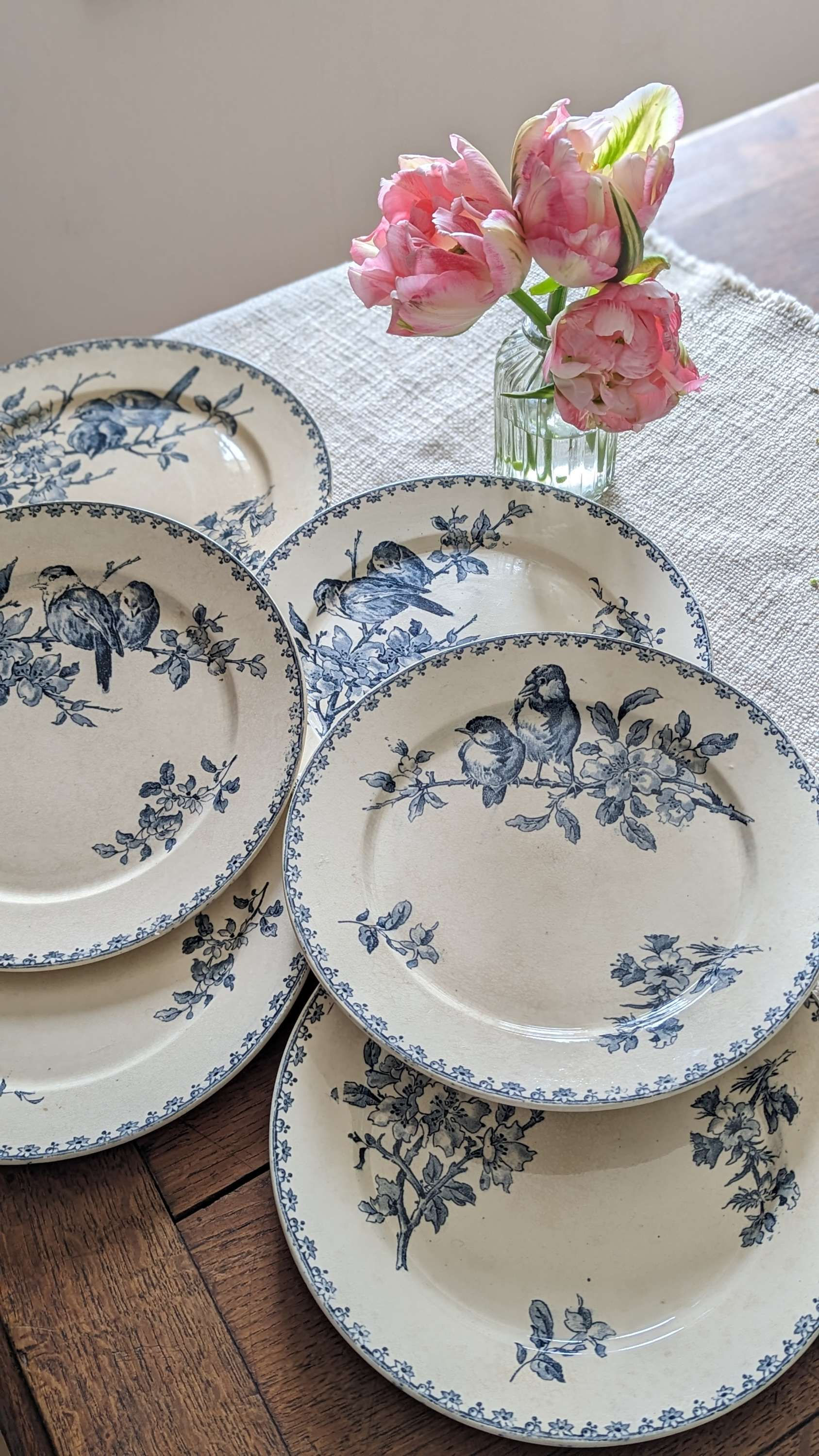 Juline les assiettes Favori Sarreguemines 