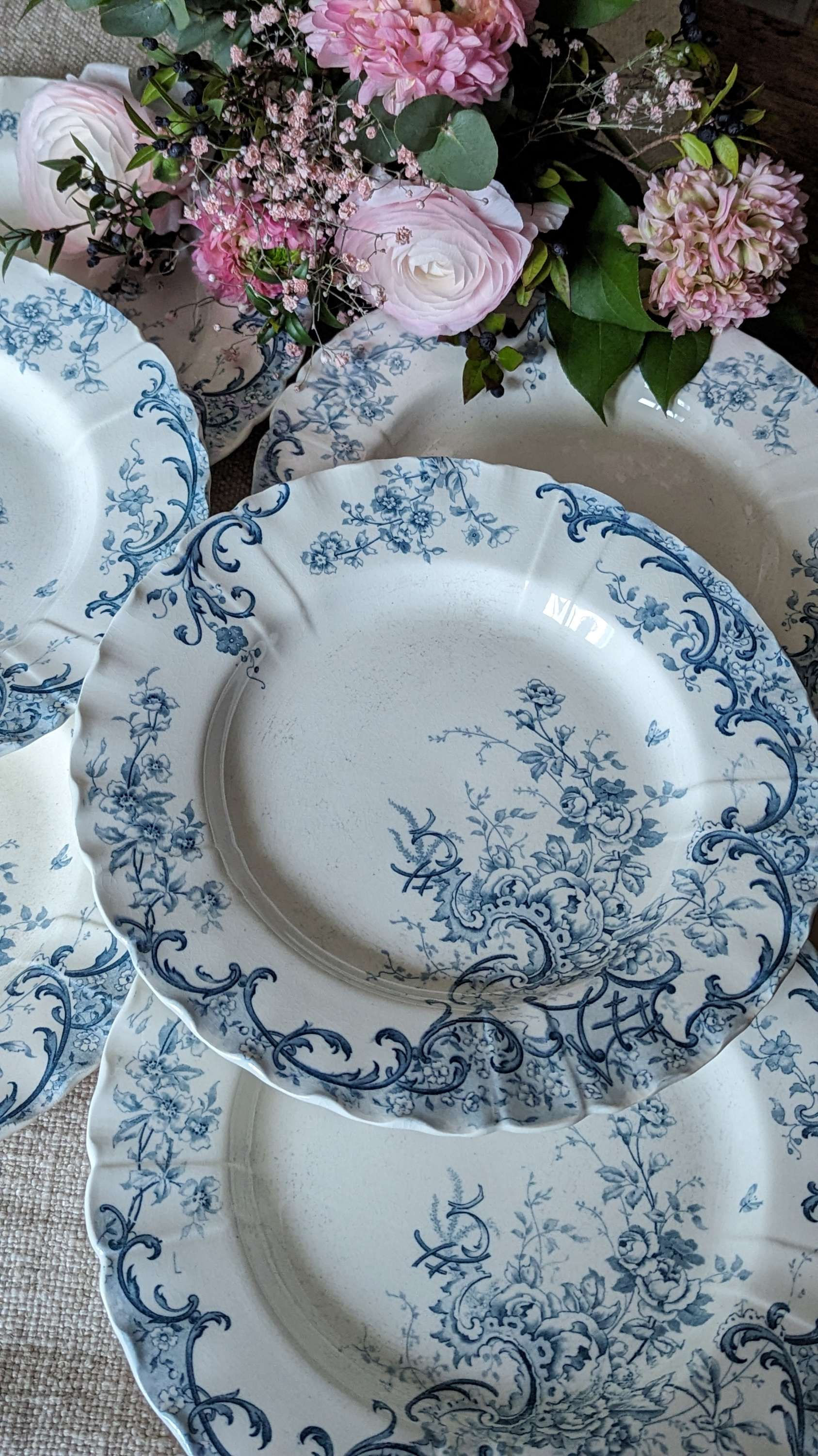 Henriette les assiettes semi-creuses Sarreguemines 