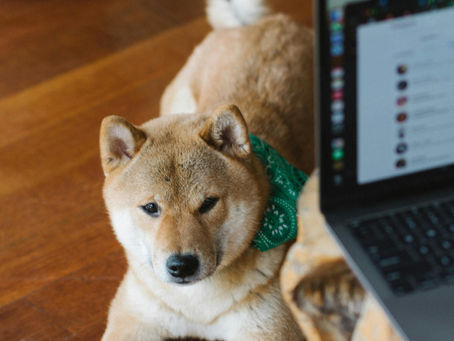 "Frustrated With Interruptions?"