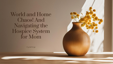 World and Home Chaos! And Navigating the Hospice System for Mom