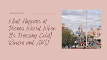 What Happens at Disney World When It's Freezing Cold| Riviera and AKL!