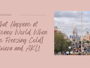 What Happens at Disney World When It's Freezing Cold| Riviera and AKL!