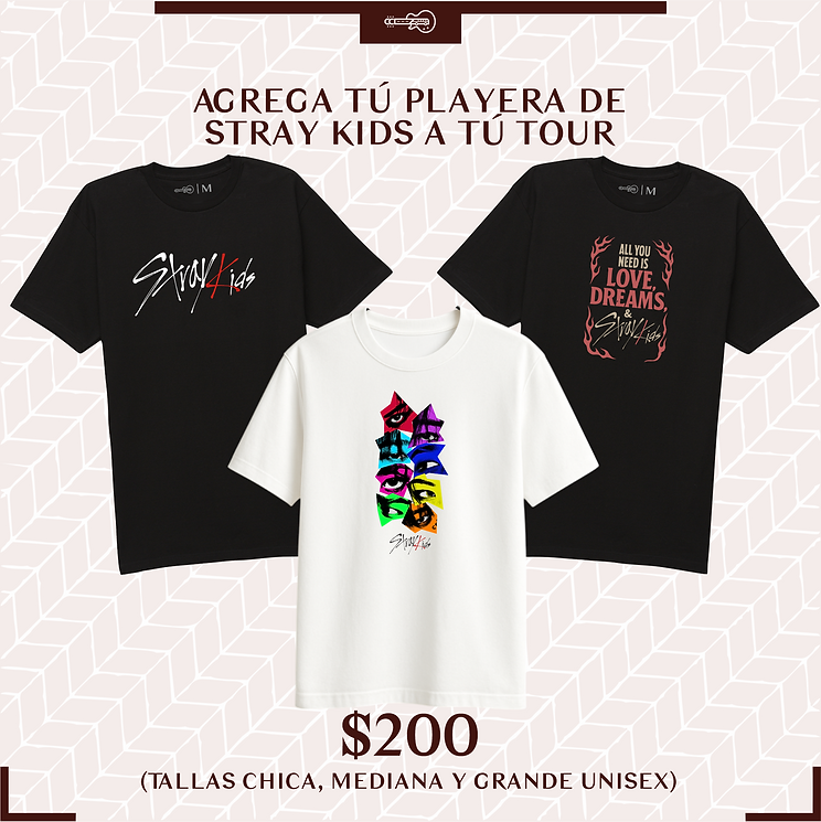 05 PLAYERA.png