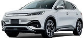 BYD small.jpg