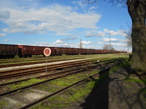 DSCN0772.jpg