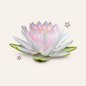 How I would design a brand and website for a wellness or spiritual business 