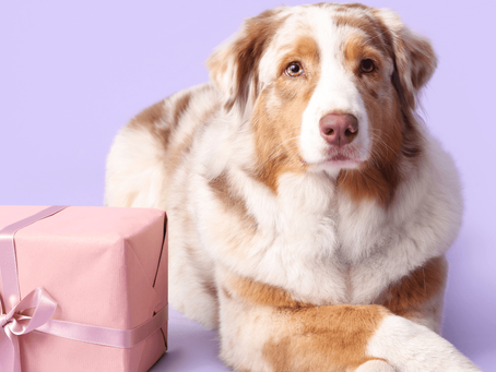 Quirky gifts UK: ideas for people who are hard to buy for