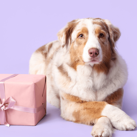 Quirky gifts UK: ideas for people who are hard to buy for