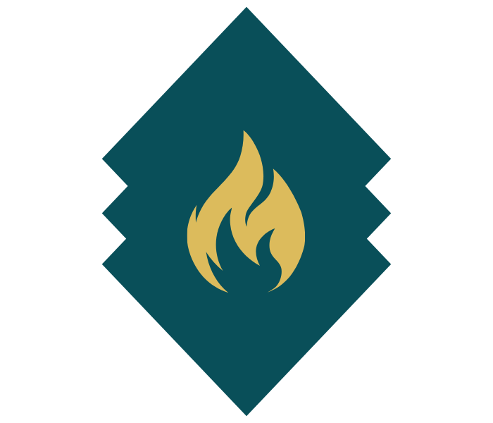 Party Vans for Rent.png