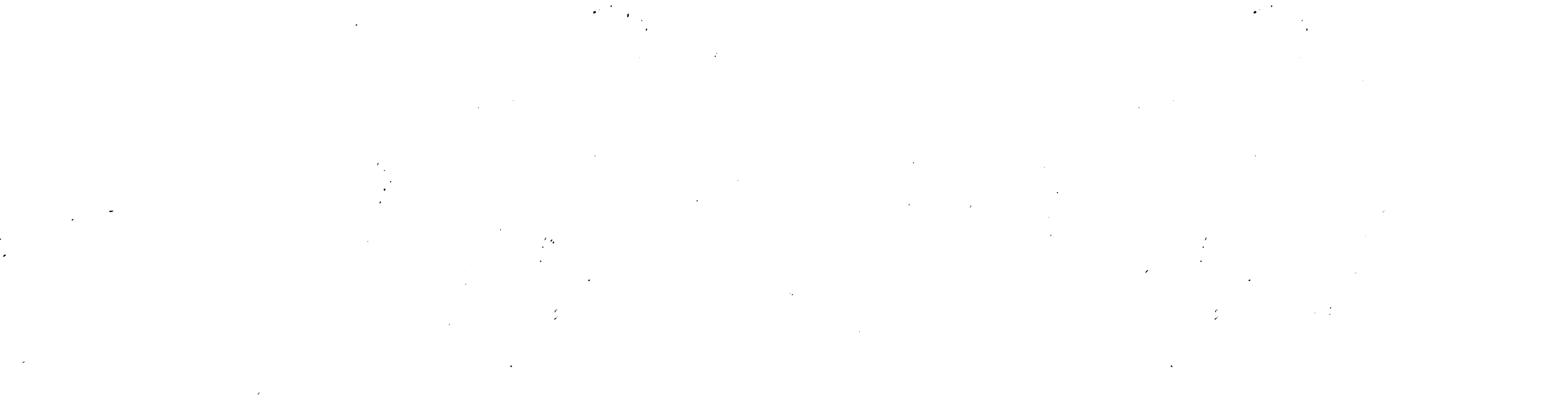 Be Authentic logo white.png