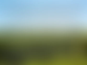 The Best Wine Tours In Long Island