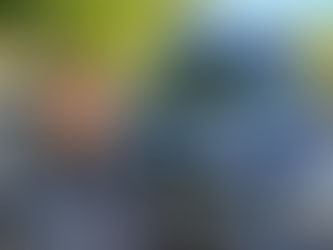 Sprinter Van Rental Service for Funeral Transportation by NY Travel Limo