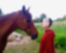 women communicating with horse
