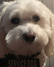 Baxter