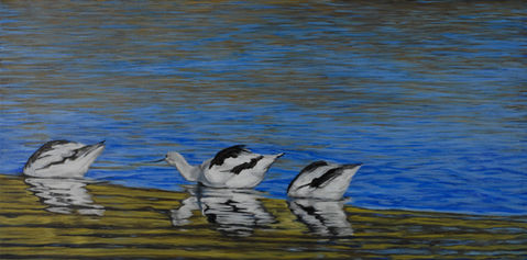 Coda water fowl painting by Elizabeth Geisler