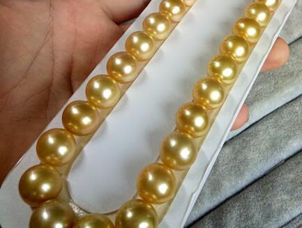 Thumbnail: Free Shipping Stunning Gorgeous 12-15mm South Sea Round Gold Pearl