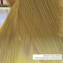 Ternoy/Cruz/Orins - The Theory of Constraints