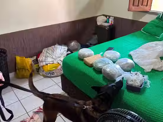 Operação apreende mais de 6 quilos de skunk e prende suspeito em Cruzeiro do Sul