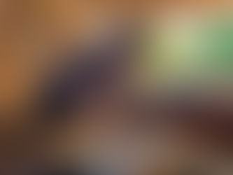 Festival da Farinha já tem data marcada e contará com novas regras de segurança