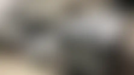 Barco carregado com quase 4 toneladas de cocaína é interceptado em alto mar